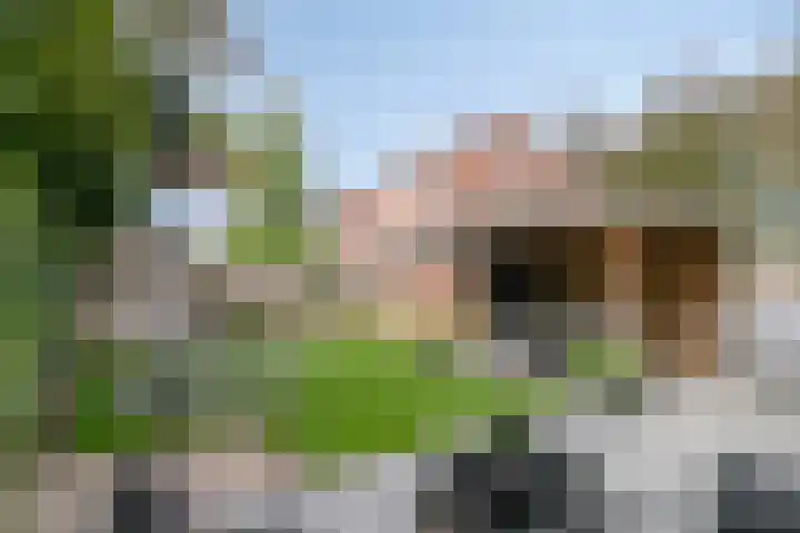 Burg. Panisstraat 15 Haaren thumbnail 38