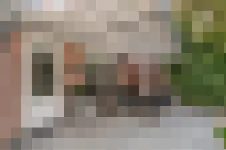 Burg. Panisstraat 15 Haaren thumbnail 43