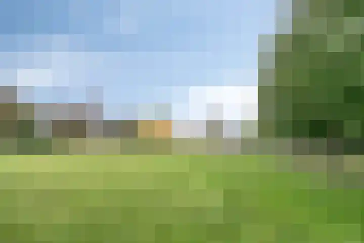 Burg. Panisstraat 15 Haaren thumbnail 44