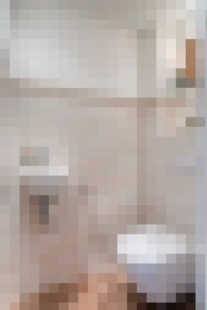 Burg. Panisstraat 15 Haaren thumbnail 6