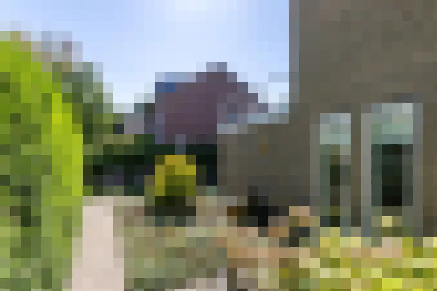 Burg. Pijlsstraat 11 Munstergeleen thumbnail 31