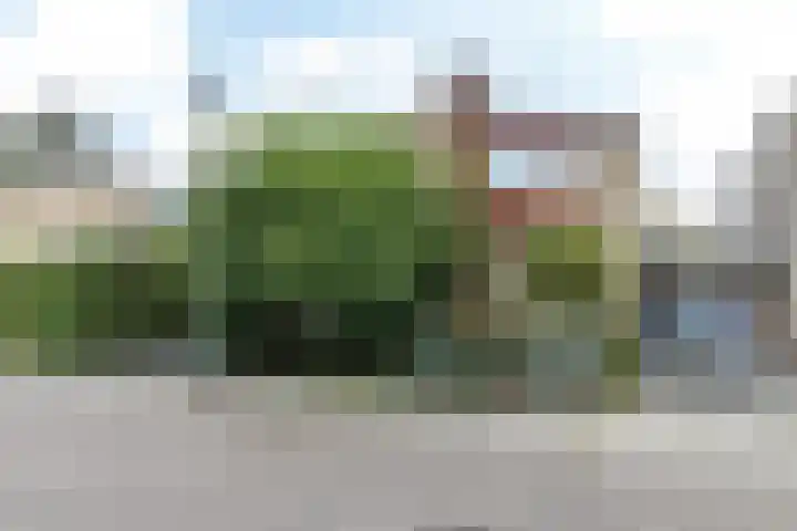 Burg. Pijlsstraat 16 Munstergeleen thumbnail 35