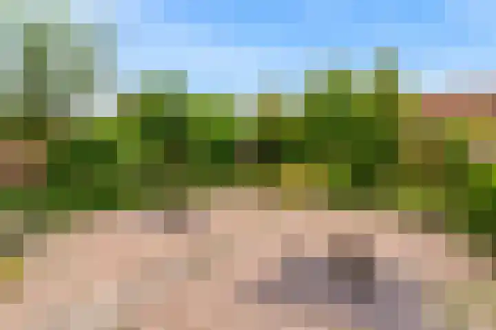 Burg. Reijerslaan 20 Kamerik thumbnail 4