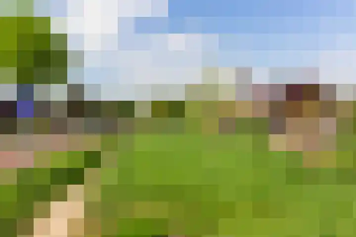Burg. Rippingstraat 1 A Maassluis thumbnail 45