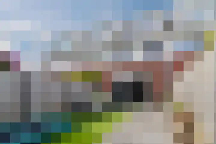Burg. Rippingstraat 2 C Maassluis thumbnail 34