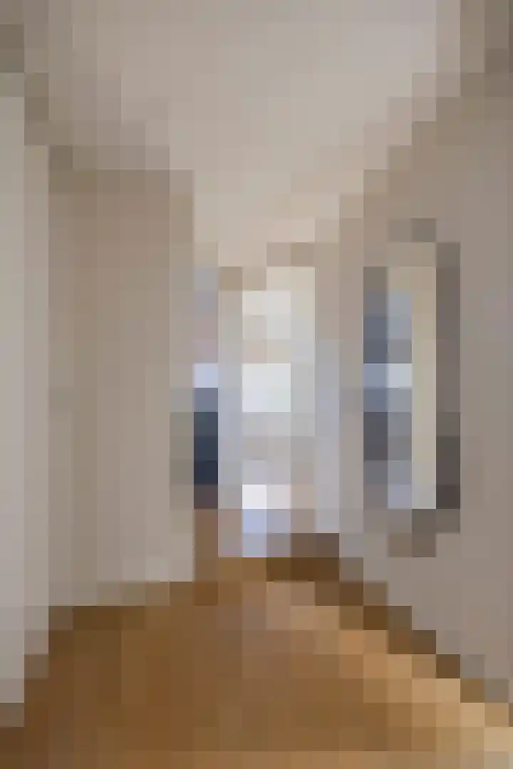 Burg Ritzemastraat 26 Niekerk thumbnail 31