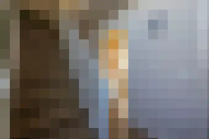 Burg Ritzemastraat 26 Niekerk thumbnail 6