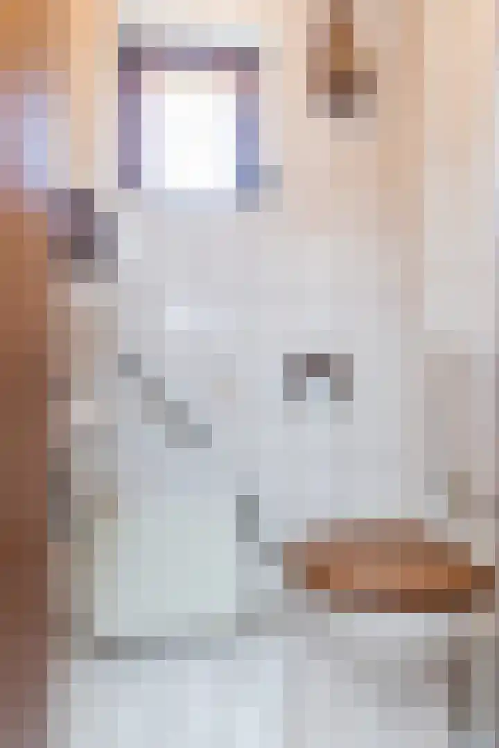 Burg. Ritzenstraat 6 Nuth thumbnail 9