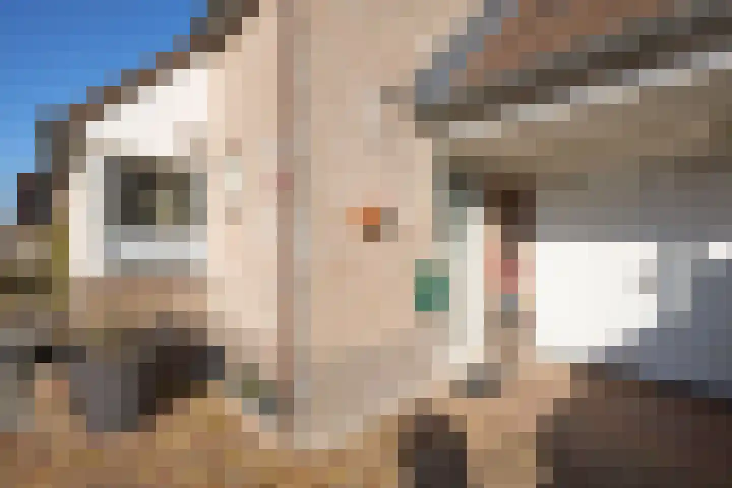 Burg. Romijnstraat 3 West-Graftdijk thumbnail 9
