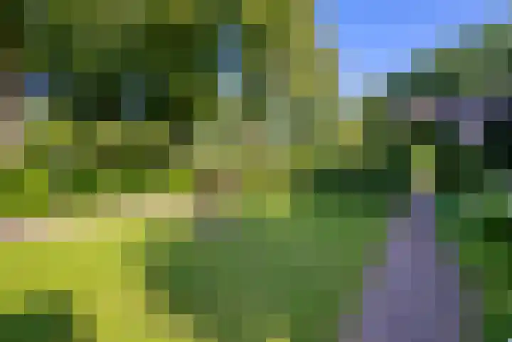 Burg. Roosmale Nepveulaan 15 Apeldoorn thumbnail 36