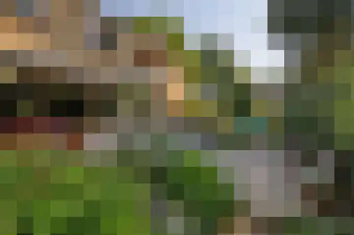 Burg. Roosmale Nepveulaan 15 Apeldoorn thumbnail 38