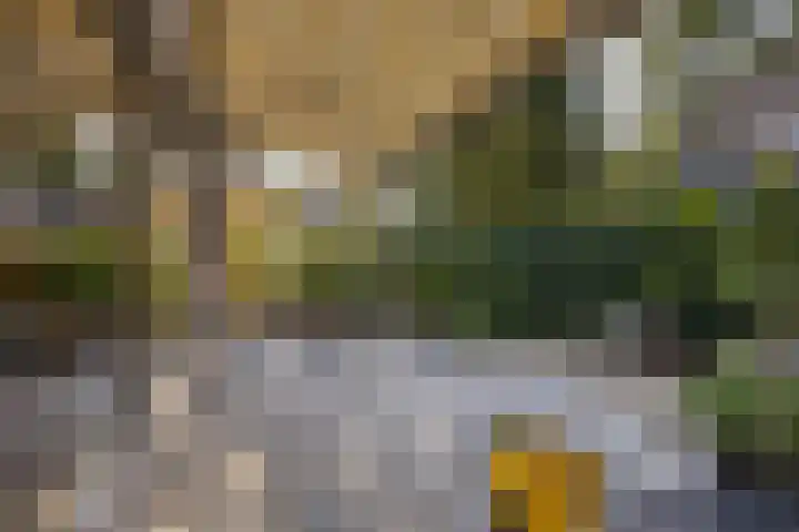 Burg. Roosmale Nepveulaan 15 Apeldoorn thumbnail 41