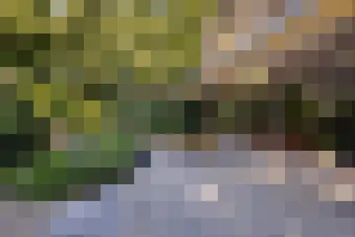 Burg. Roosmale Nepveulaan 15 Apeldoorn thumbnail 42