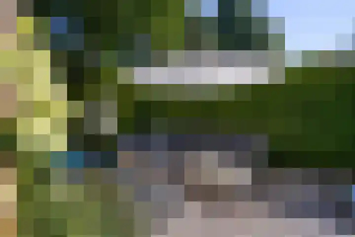 Burg. Roosmale Nepveulaan 15 Apeldoorn thumbnail 46