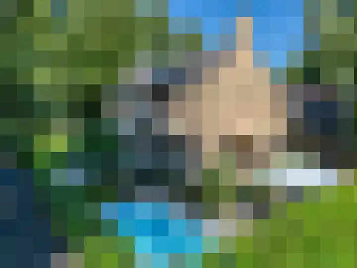 Burg. Roosmale Nepveulaan 15 Apeldoorn thumbnail 61