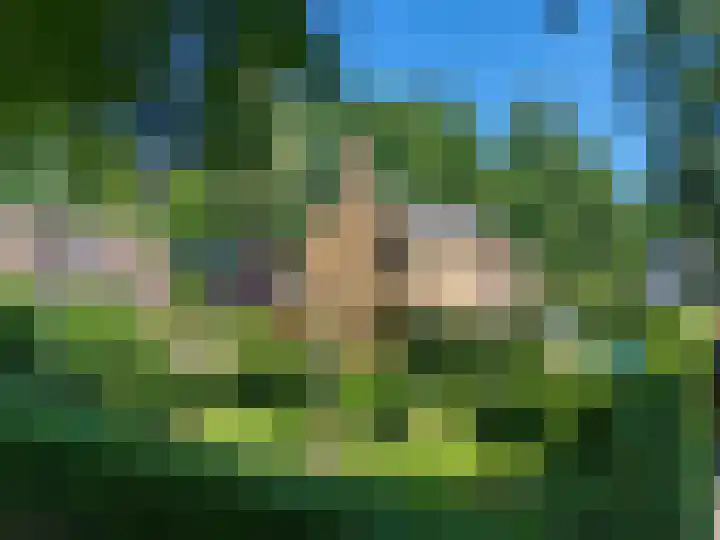 Burg. Roosmale Nepveulaan 15 Apeldoorn thumbnail 64