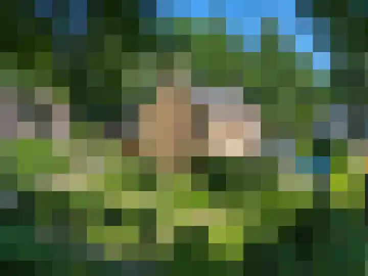 Burg. Roosmale Nepveulaan 15 Apeldoorn thumbnail 65