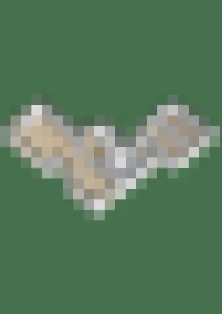 Burg. Roosmale Nepveulaan 15 Apeldoorn thumbnail 75