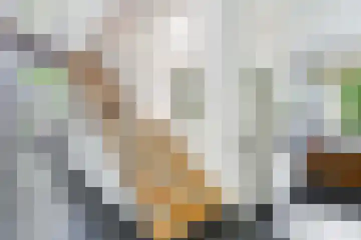 Burg. Roosmale Nepveulaan 16 Apeldoorn thumbnail 13