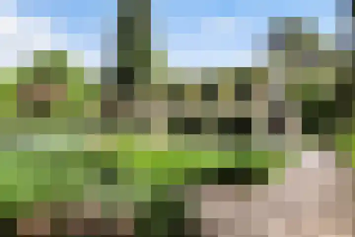 Burg. Roosmale Nepveulaan 16 Apeldoorn thumbnail 30
