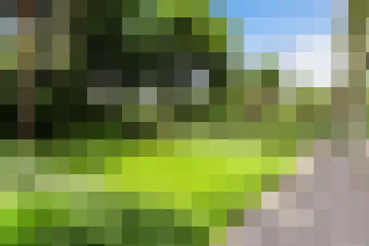 Burg. Roosmale Nepveulaan 16 Apeldoorn thumbnail 35