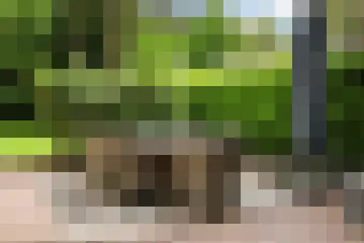 Burg. Roosmale Nepveulaan 16 Apeldoorn thumbnail 38