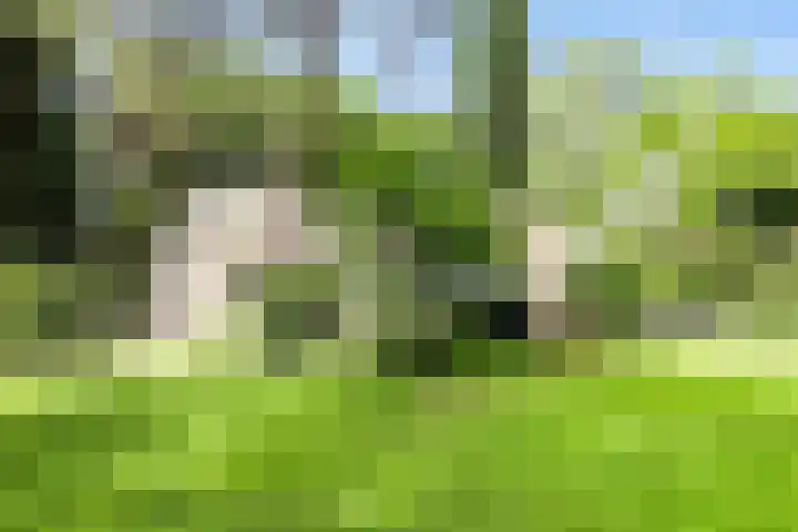 Burg. Roosmale Nepveulaan 16 Apeldoorn thumbnail 40