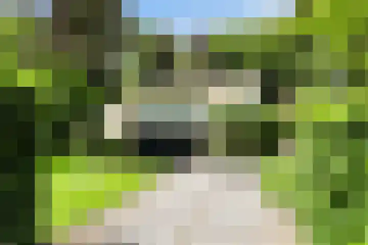 Burg. Roosmale Nepveulaan 16 Apeldoorn thumbnail 42