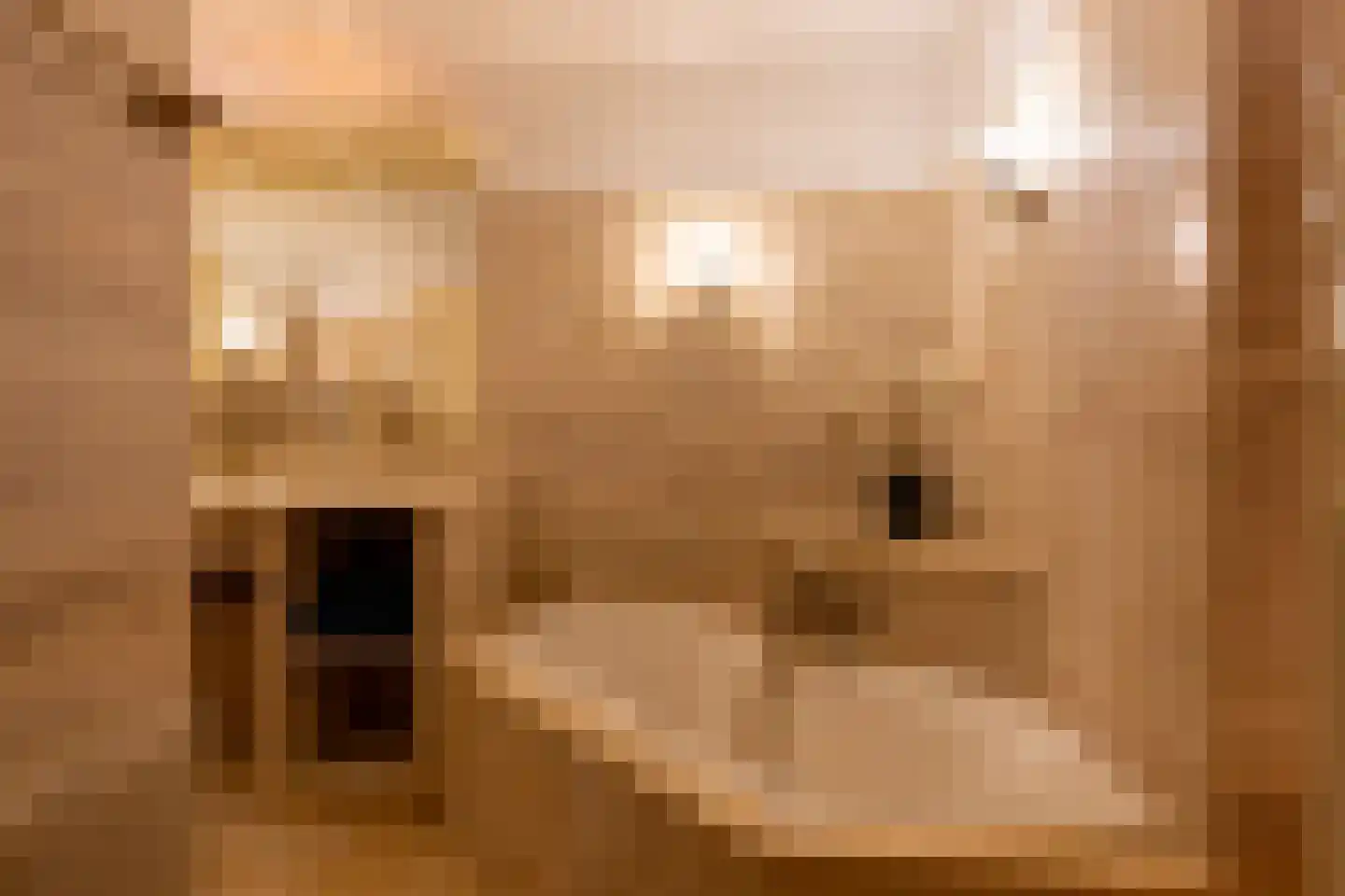 Burg Roosmale Nepveulaan 2 Putten thumbnail 34