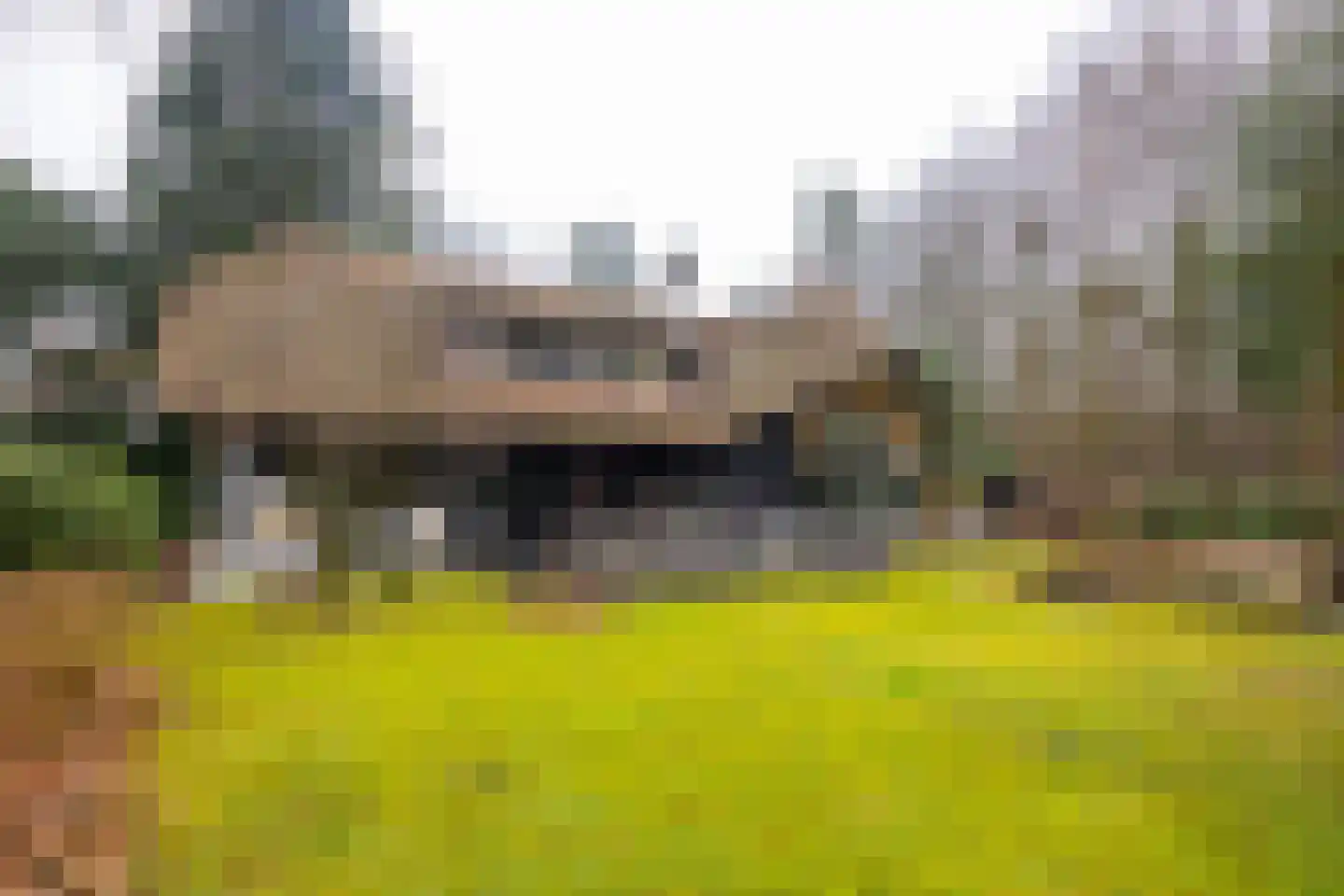 Burg Roosmale Nepveulaan 2 Putten thumbnail 44