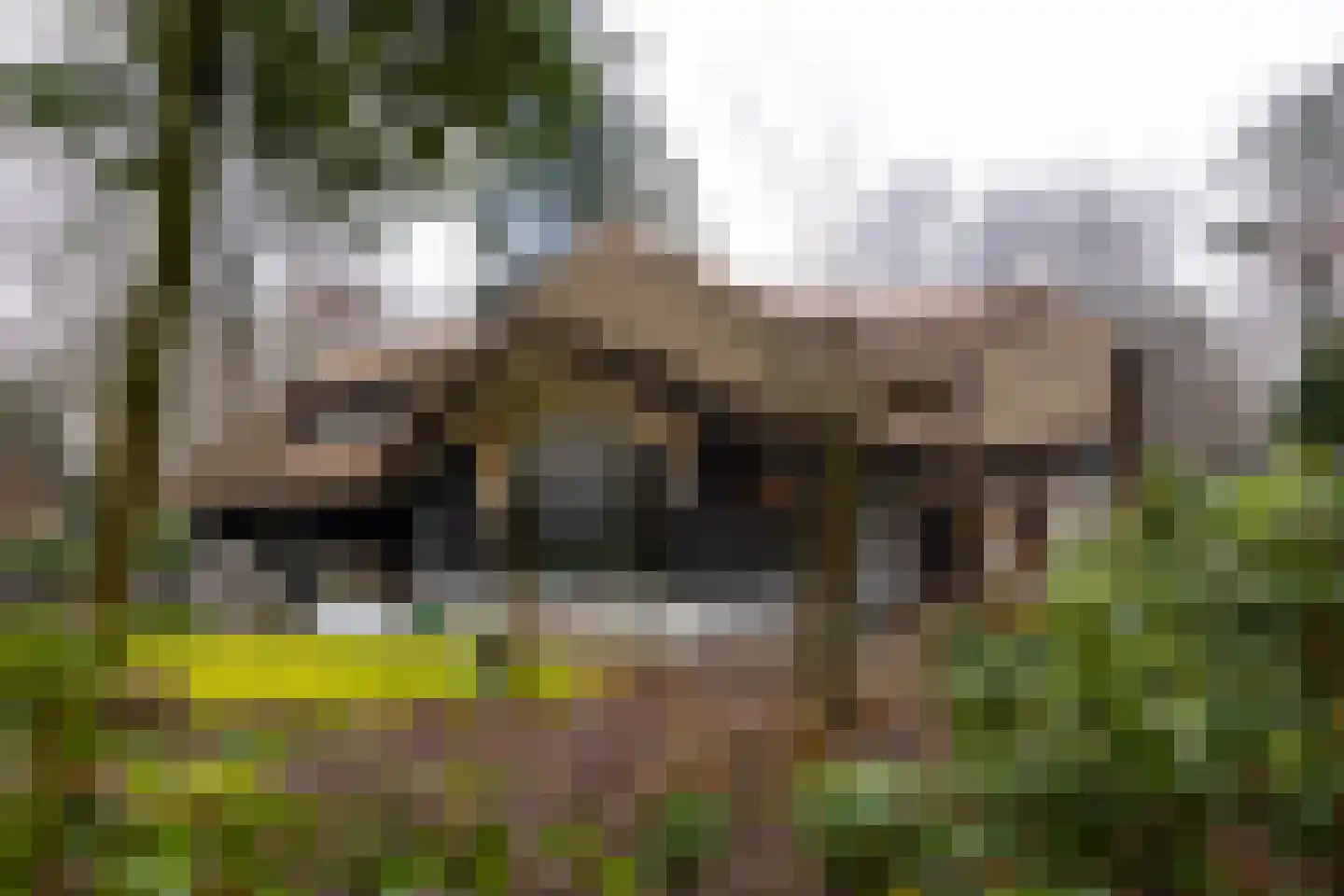 Burg Roosmale Nepveulaan 2 Putten thumbnail 45