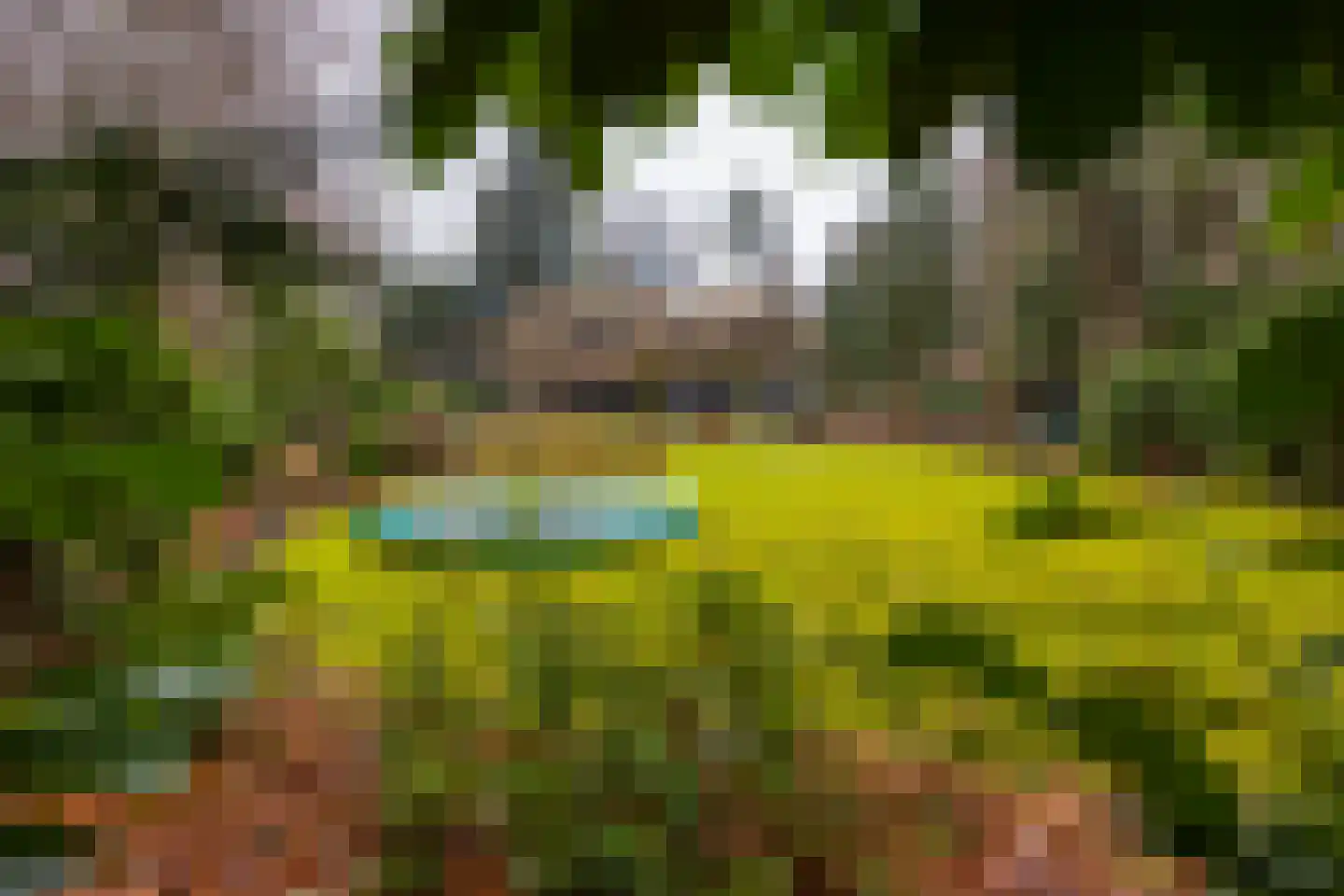 Burg Roosmale Nepveulaan 2 Putten thumbnail 47