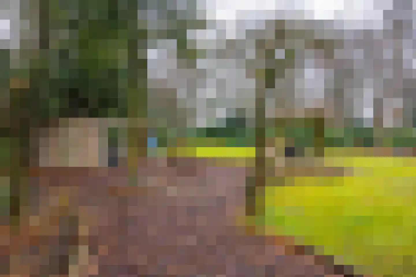 Burg Roosmale Nepveulaan 2 Putten thumbnail 49