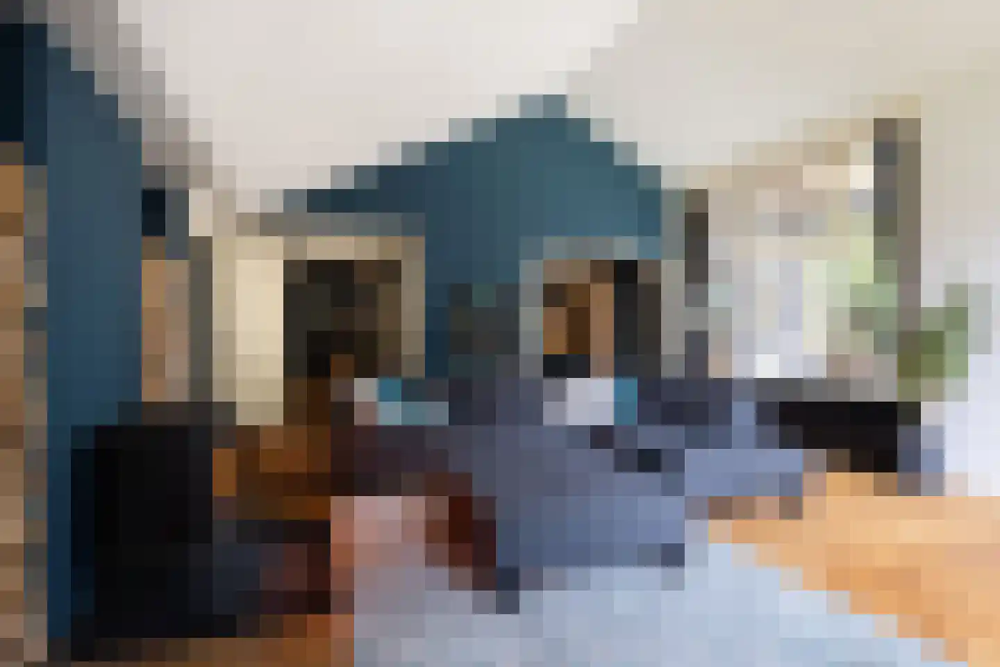 Burg Roosmale Nepveulaan 2 Putten thumbnail 5