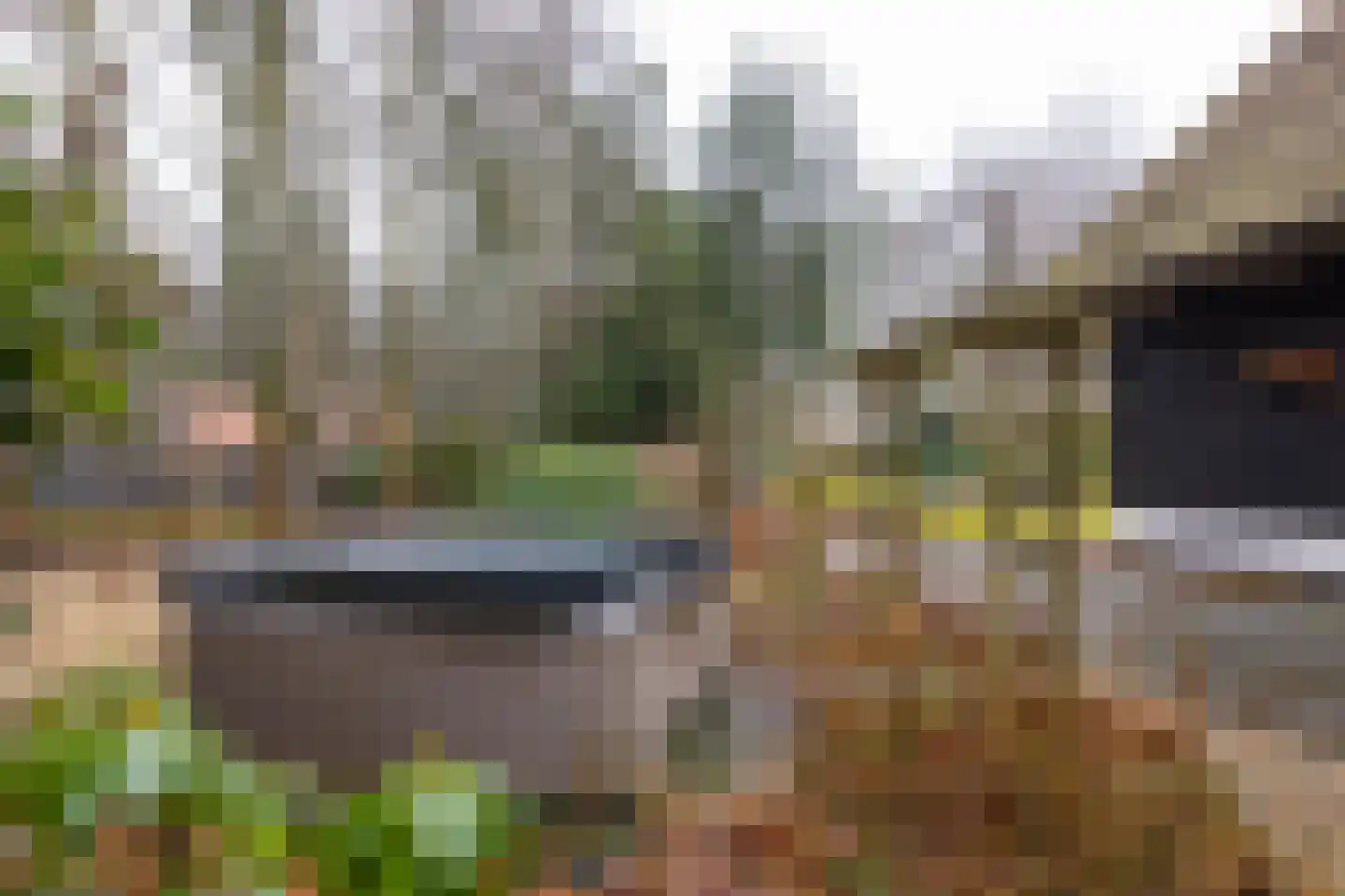 Burg Roosmale Nepveulaan 2 Putten thumbnail 51