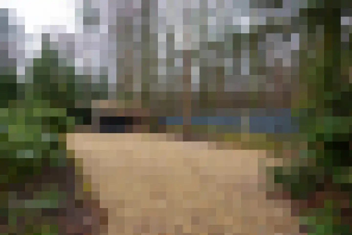Burg Roosmale Nepveulaan 2 Putten thumbnail 54