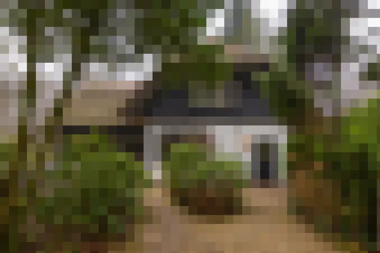 Burg Roosmale Nepveulaan 2 Putten thumbnail 57