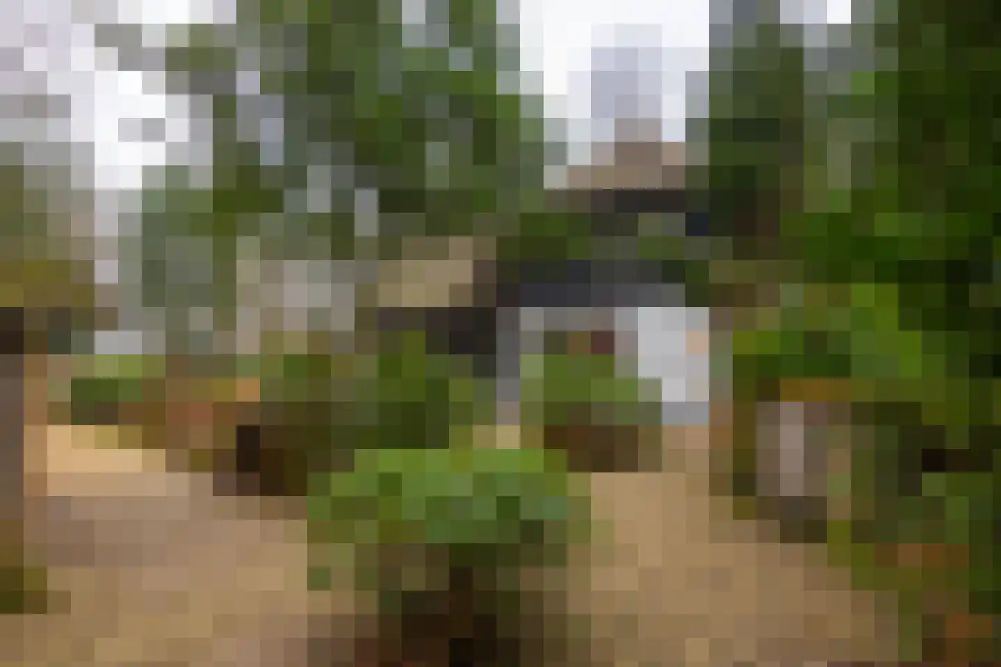 Burg Roosmale Nepveulaan 2 Putten thumbnail 58