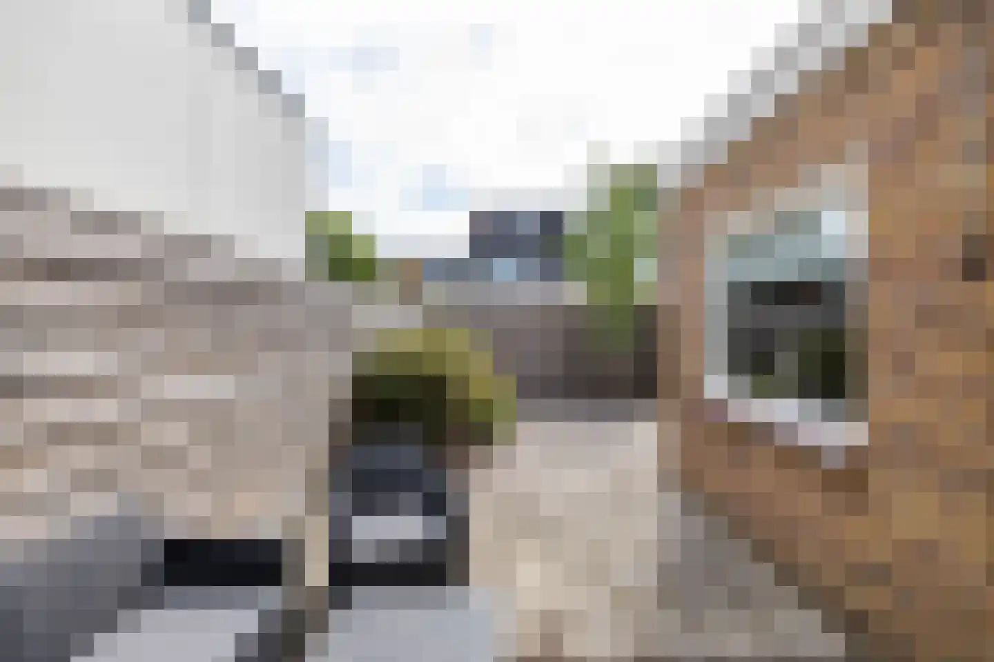 Burg. S. Gockingastraat 10 Groningen thumbnail 25