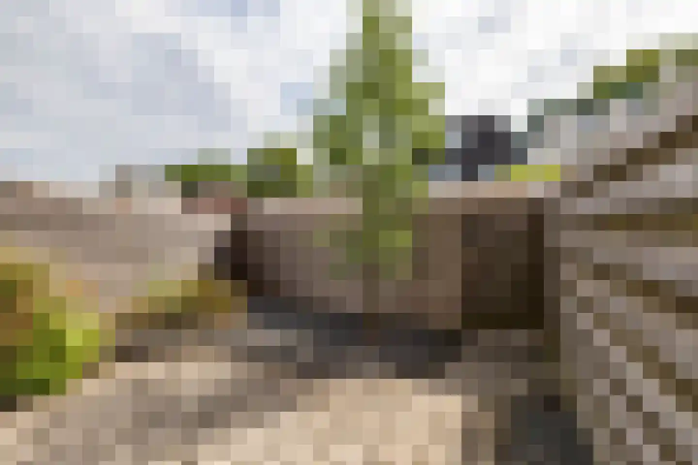 Burg. S. Gockingastraat 10 Groningen thumbnail 27