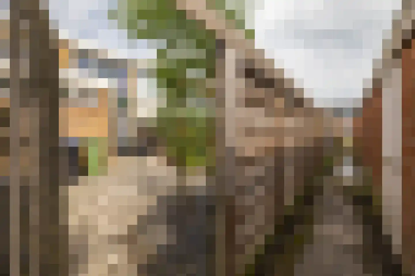 Burg. S. Gockingastraat 10 Groningen thumbnail 28