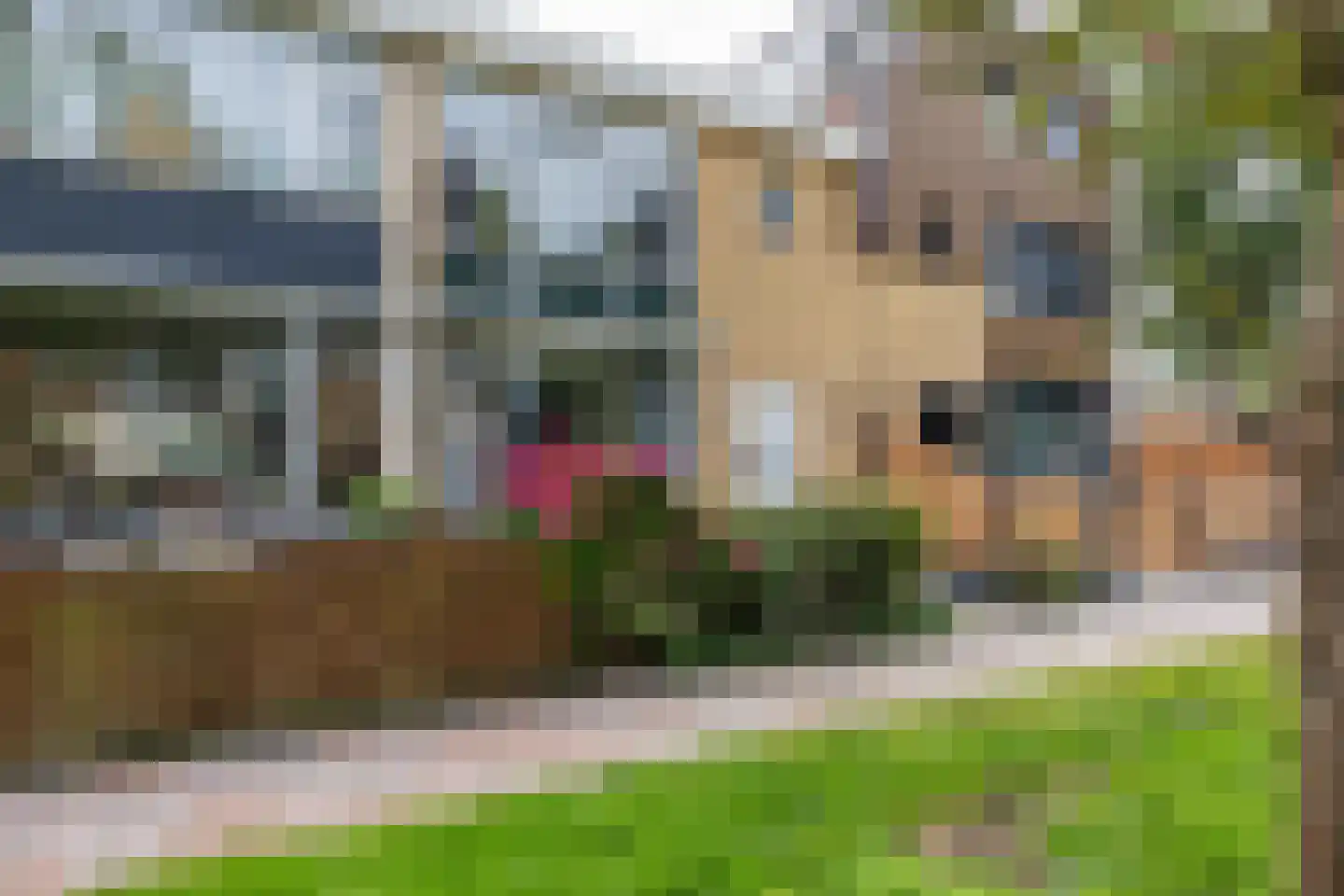 Burg. S. Gockingastraat 10 Groningen thumbnail 6