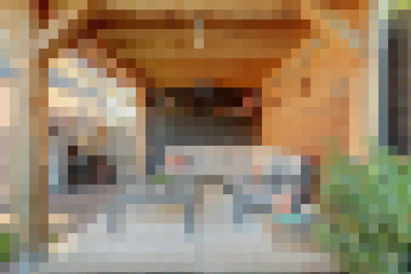 Burg.s'Jacoblaan 11 Leersum thumbnail 10