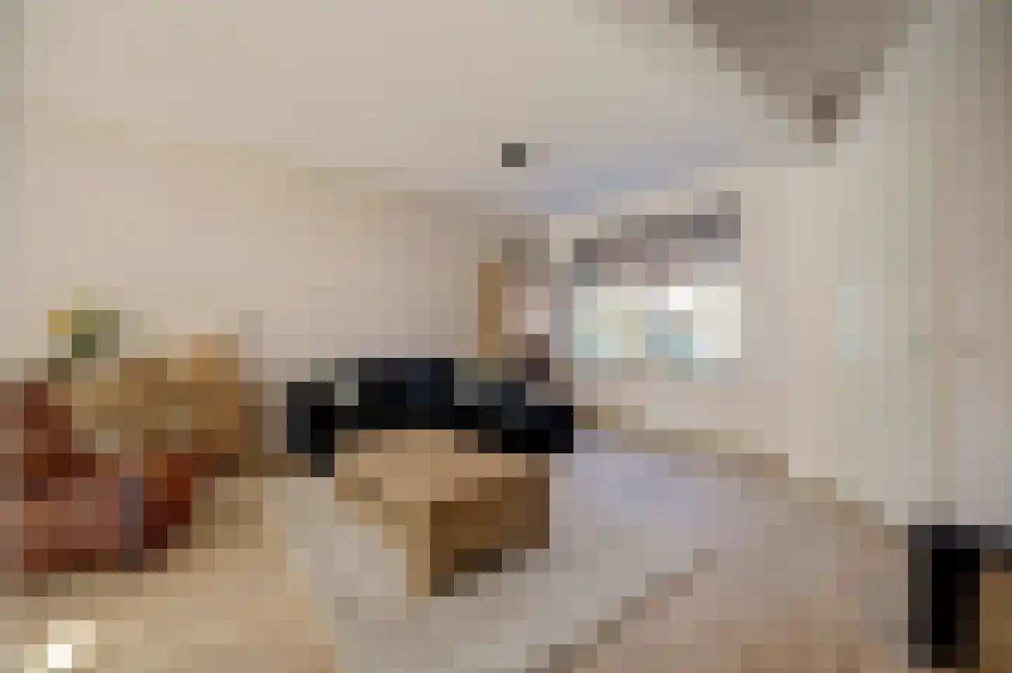 Burg.s'Jacoblaan 11 Leersum thumbnail 14