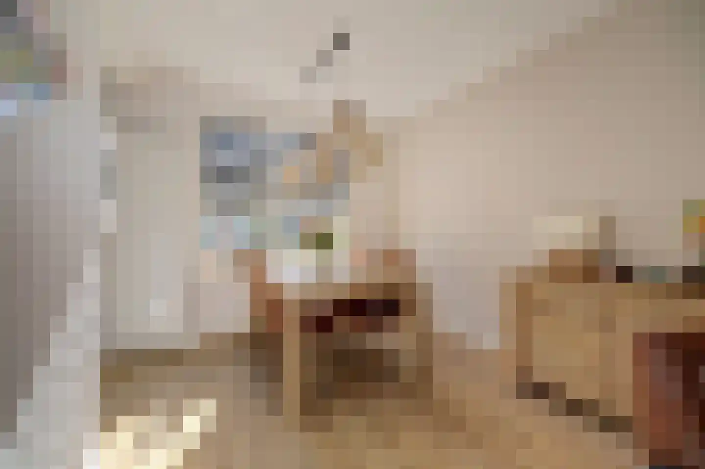 Burg.s'Jacoblaan 11 Leersum thumbnail 17