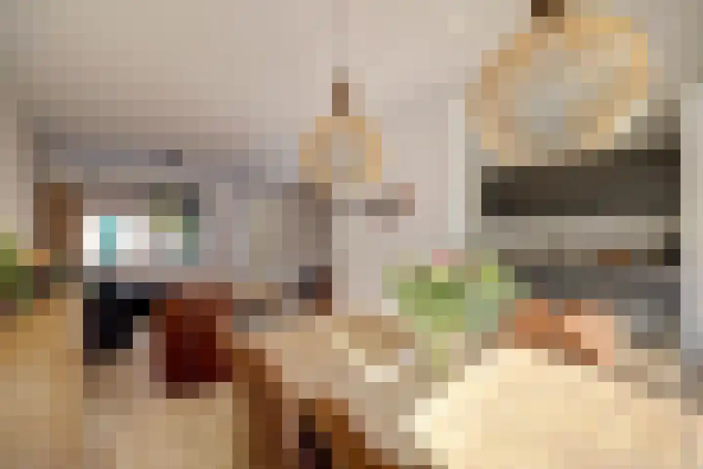 Burg.s'Jacoblaan 11 Leersum thumbnail 18