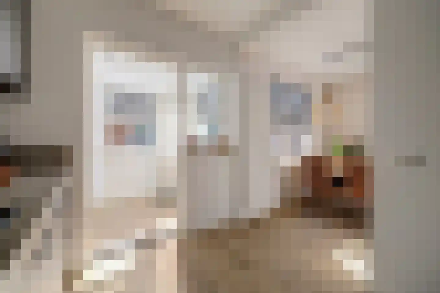 Burg.s'Jacoblaan 11 Leersum thumbnail 21