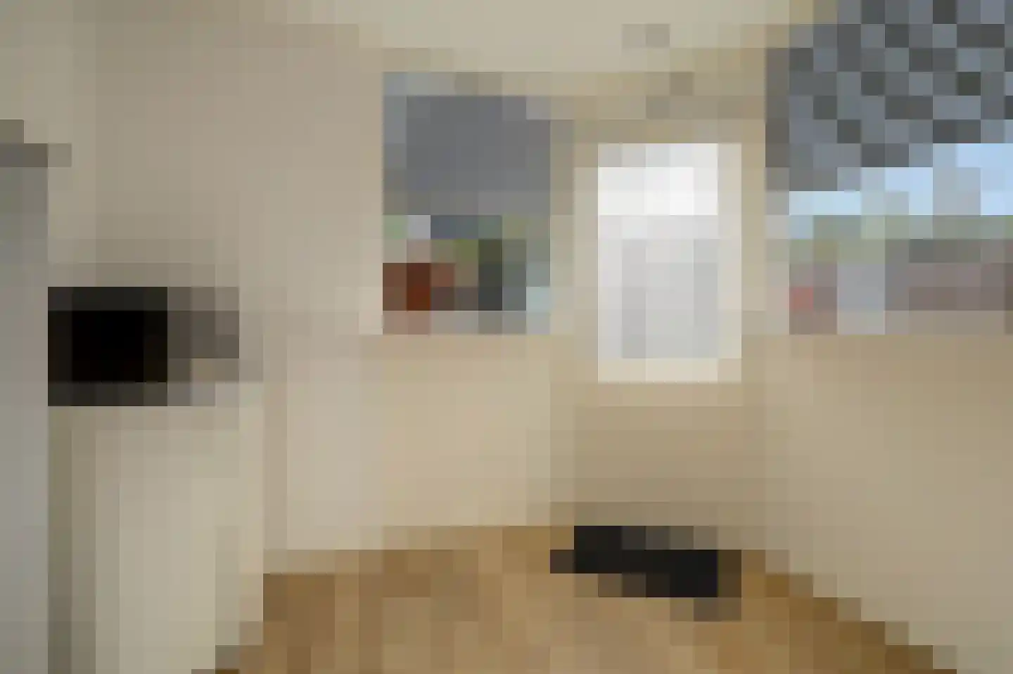 Burg.s'Jacoblaan 11 Leersum thumbnail 22