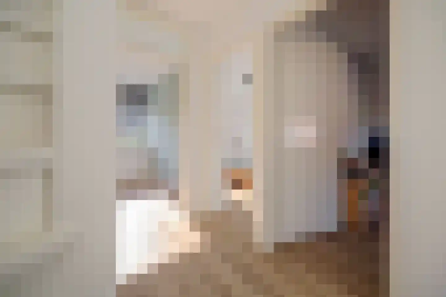 Burg.s'Jacoblaan 11 Leersum thumbnail 26