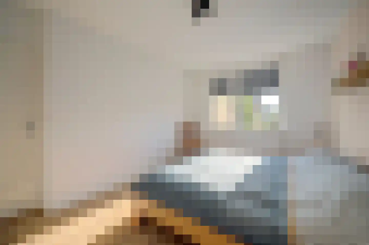 Burg.s'Jacoblaan 11 Leersum thumbnail 28